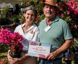 Tijardin-by-Cannebeth-prix-de-la-collection