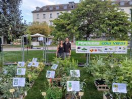 Pépinière Les Cols verts aux Journées des plantes d'Albertas