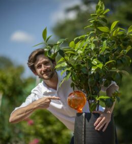 Dab'O Cristal aux Journées des Plantes d'Albertas