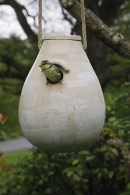 Raphaël Micke aux Journées des Plantes d'Albertas