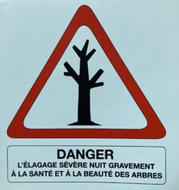 La taille des plantes : un choix, pas un réflexe ! - Par Emmanuel Geydon - membre de la Société Française d’Arboriculture aux Journées des Plantes d'Albertas