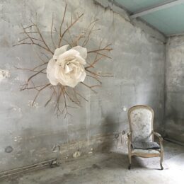 Fleurs des thés aux Journées des Plantes d'Albertas