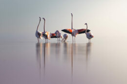 La Phototek - exposition photo 