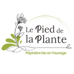 Pied de la plante aux Journées des plantes d'Alertas